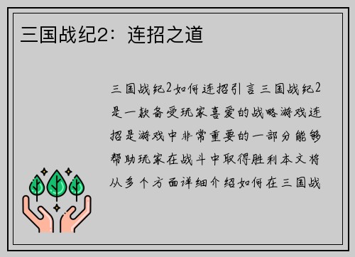 三国战纪2：连招之道